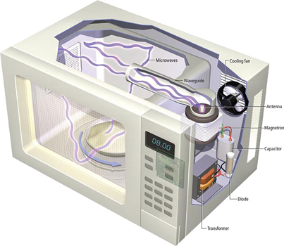 Inside a Microwave